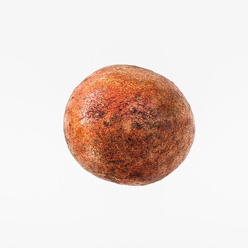 Avocado Seed 3D model 7