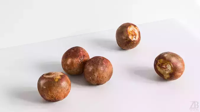 Avocado Seed 3D model