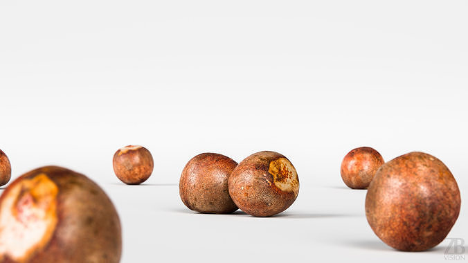 Avocado Seed 3D model 2