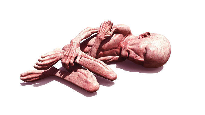 LORD VOLDEMORT  HARRY POTTER  THE RELICS OF THE DEAD 3D print model