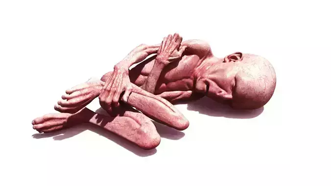 LORD VOLDEMORT  HARRY POTTER  THE RELICS OF THE DEAD 3D print model