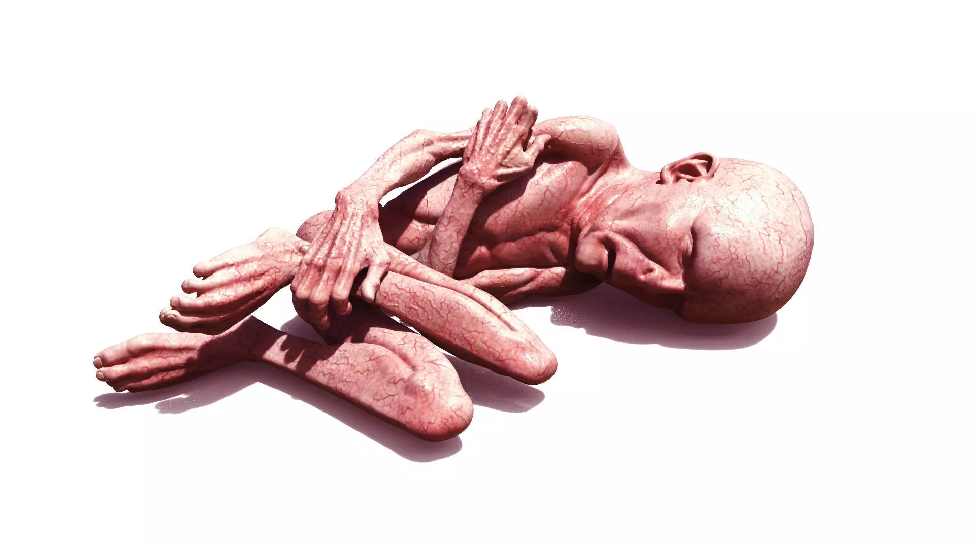 LORD VOLDEMORT  HARRY POTTER  THE RELICS OF THE DEAD 3D print model_0