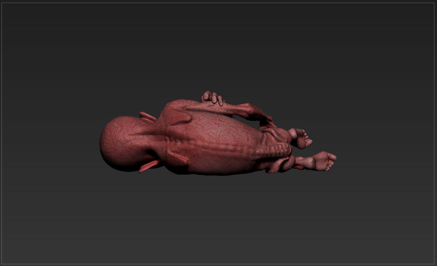 LORD VOLDEMORT  HARRY POTTER  THE RELICS OF THE DEAD 3D print model_5