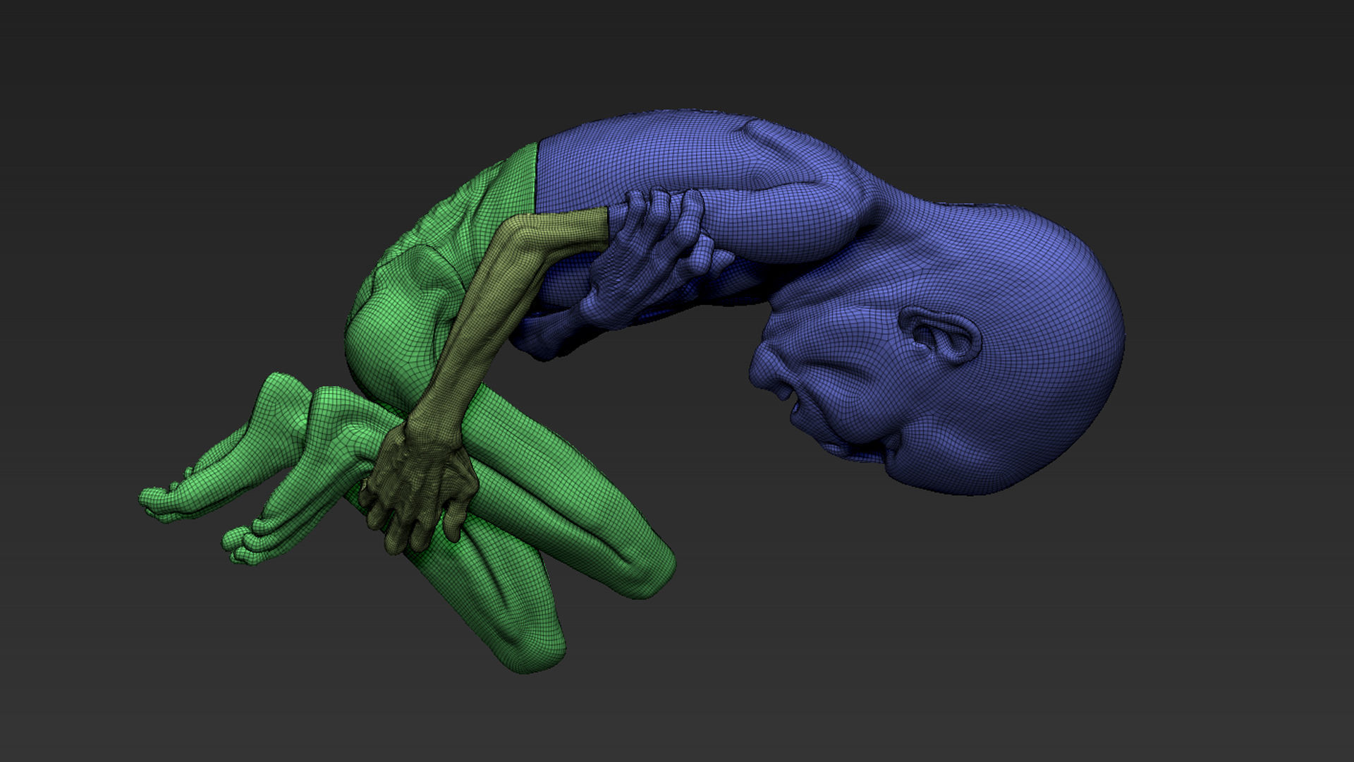 LORD VOLDEMORT  HARRY POTTER  THE RELICS OF THE DEAD 3D print model_21