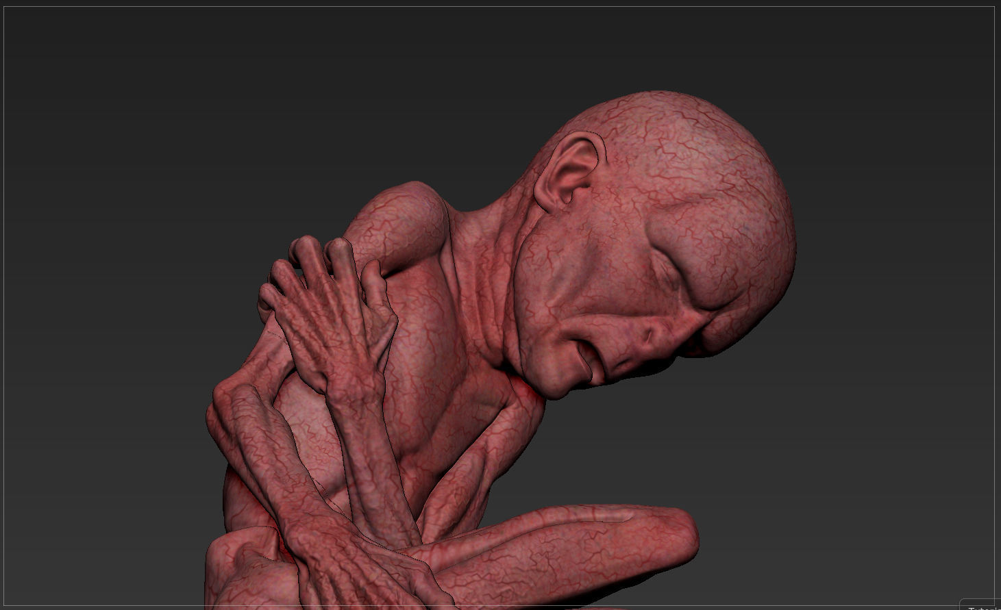 LORD VOLDEMORT  HARRY POTTER  THE RELICS OF THE DEAD 3D print model_6