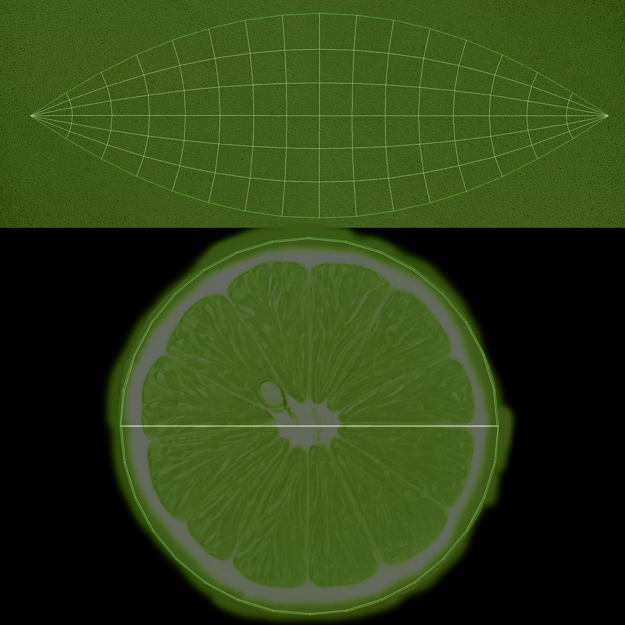 Lemon 4 lime slice 3D model_7