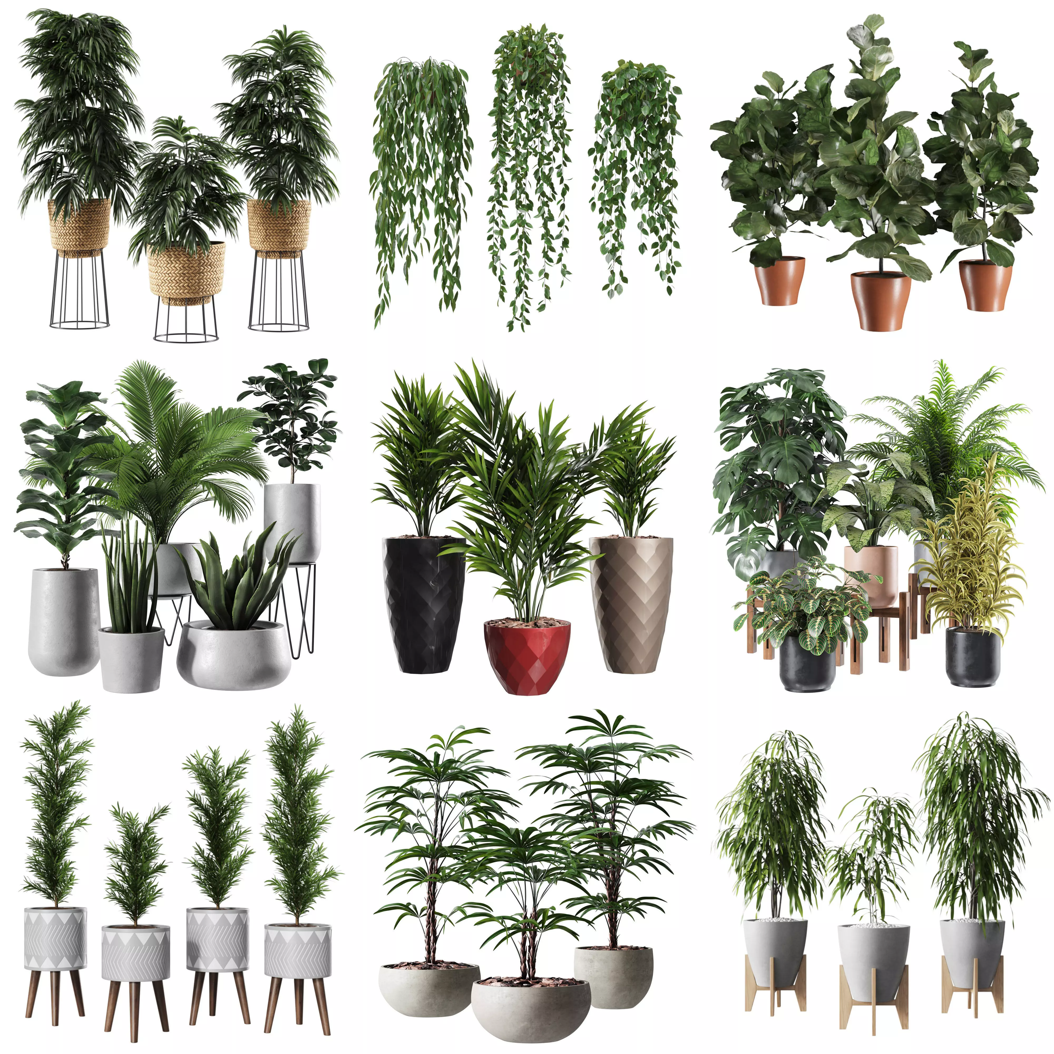 Plant Collection - 10 Items 3D model