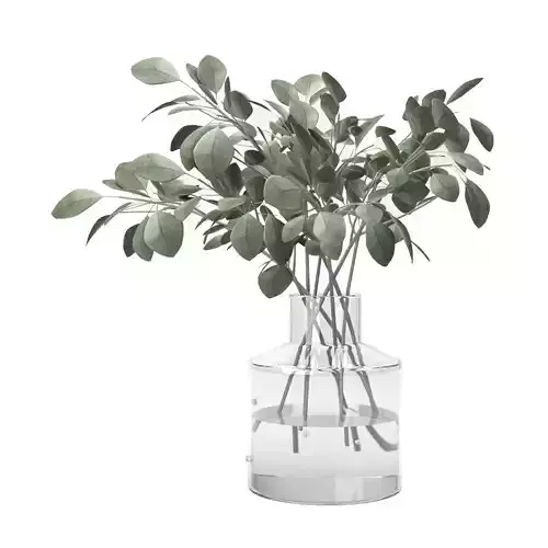 eucalyptus plant in glass vase  3D model