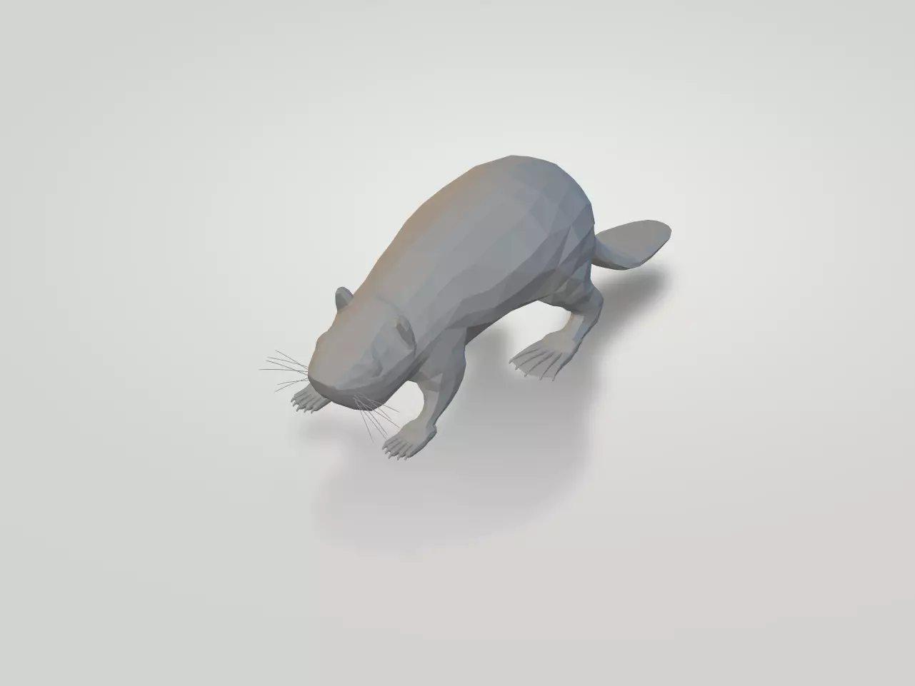 Beaver Free 3D model_0