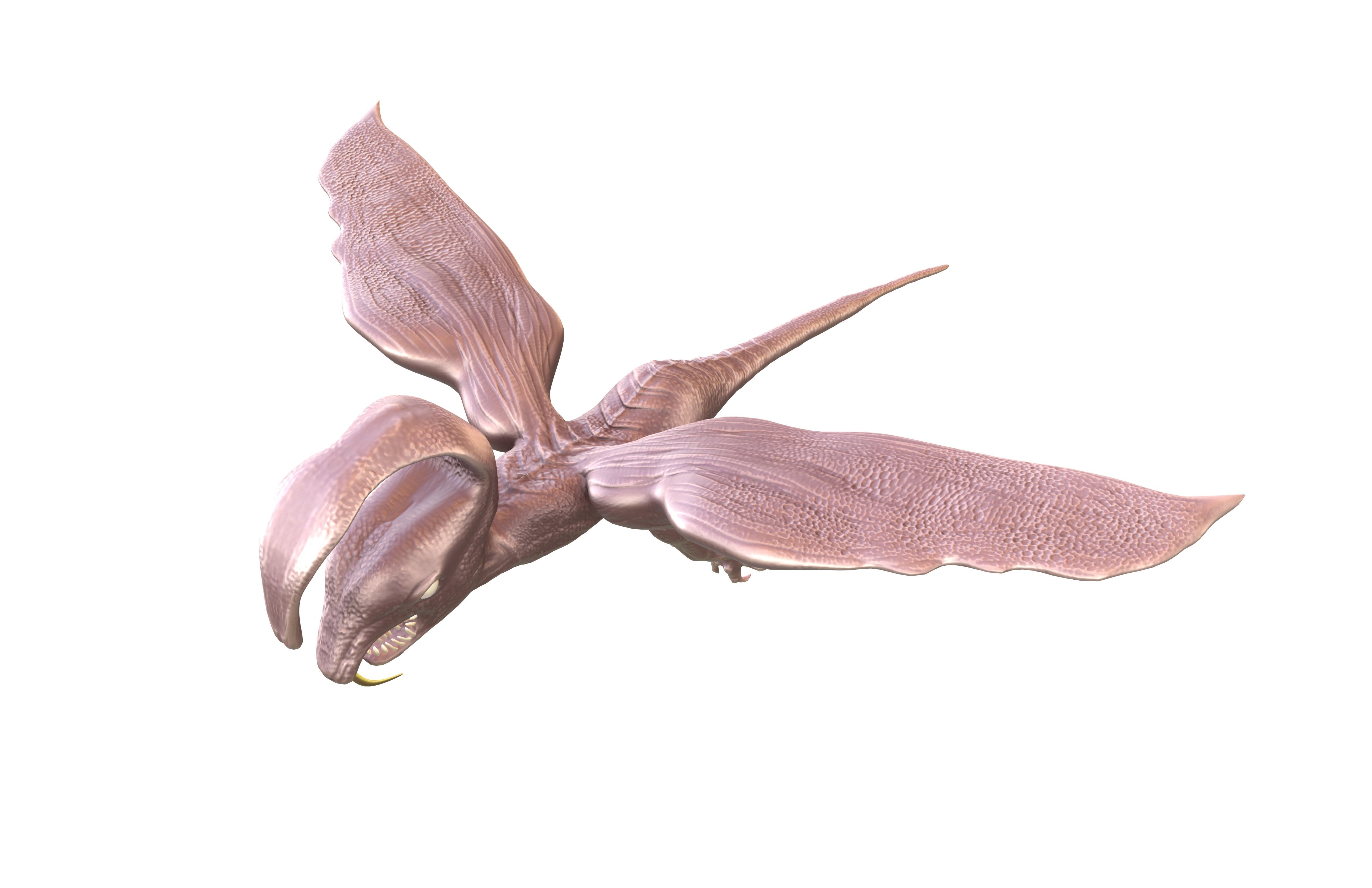 Cartoon Monster v3 001 Low-poly 3D model_4