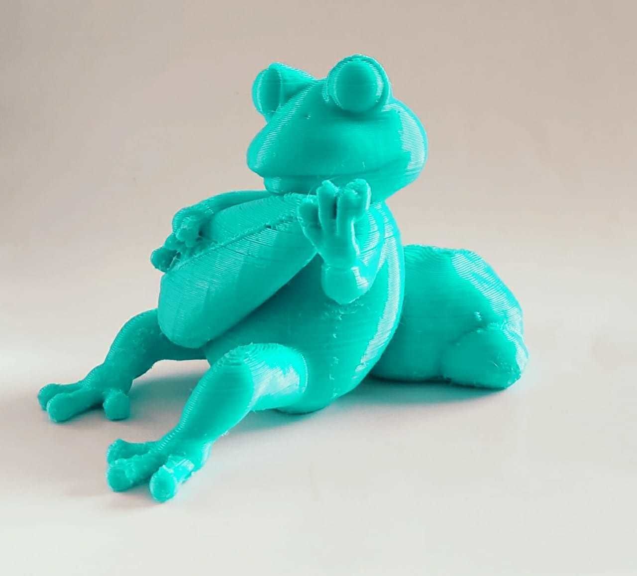 Musician Frog 3D print model_5