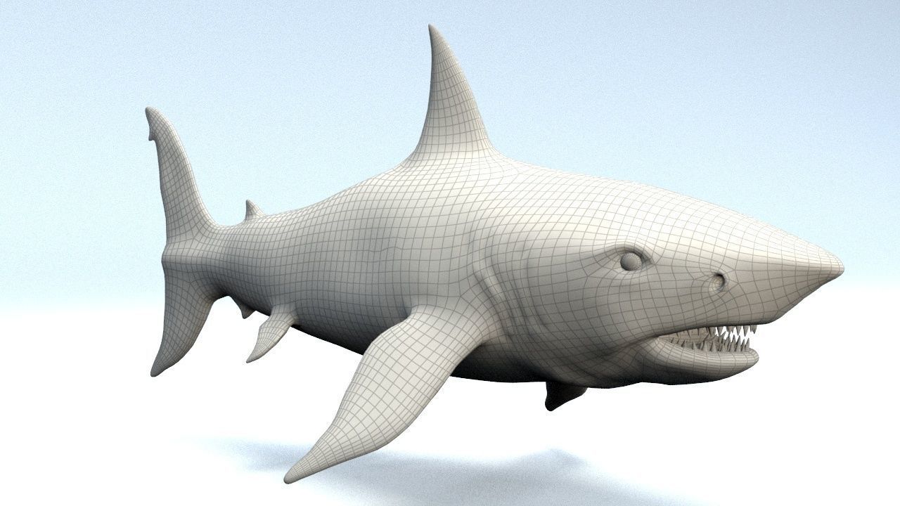White Shark  Low-poly 3D model_6