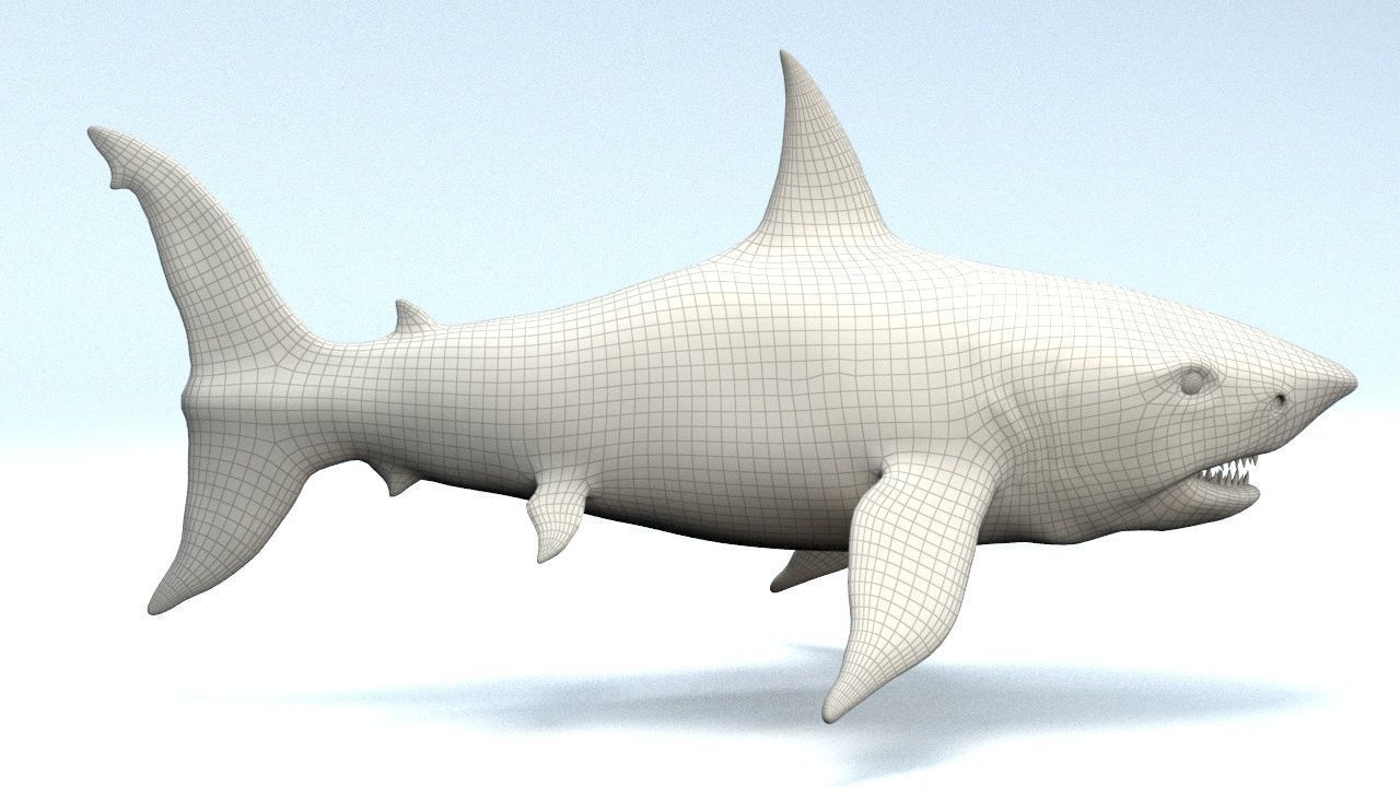 White Shark  Low-poly 3D model_7