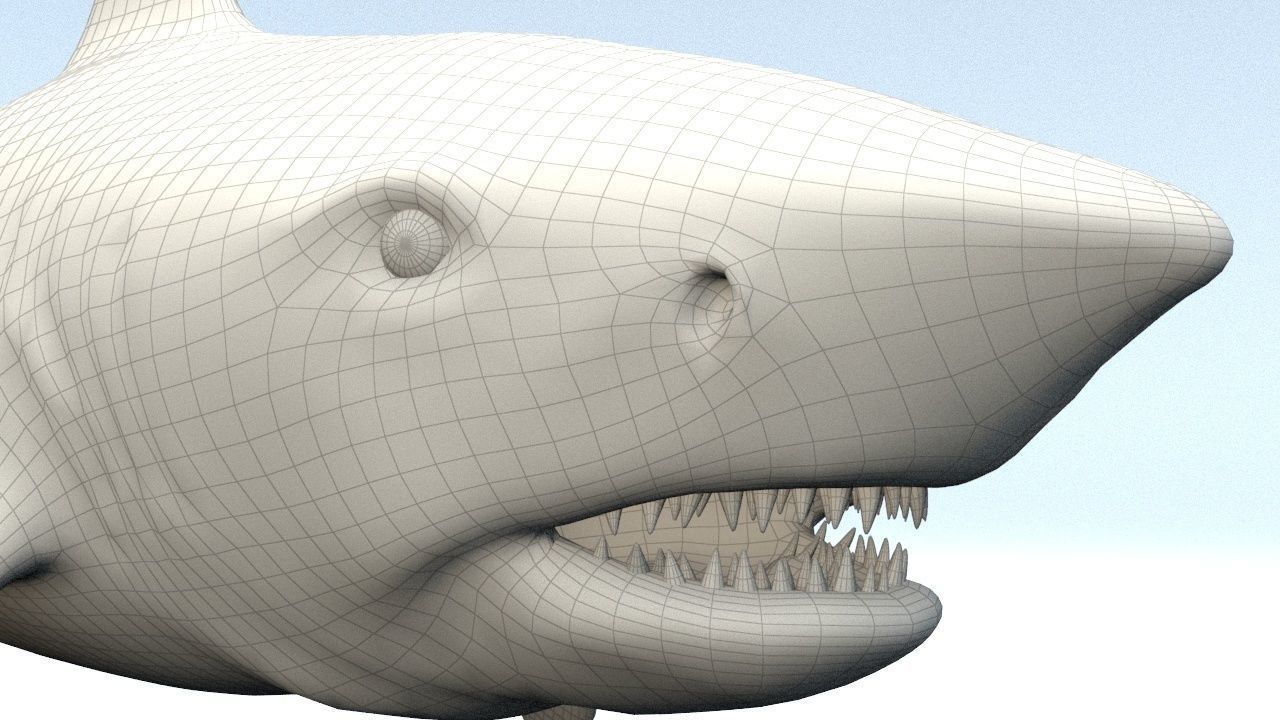 White Shark  Low-poly 3D model_8