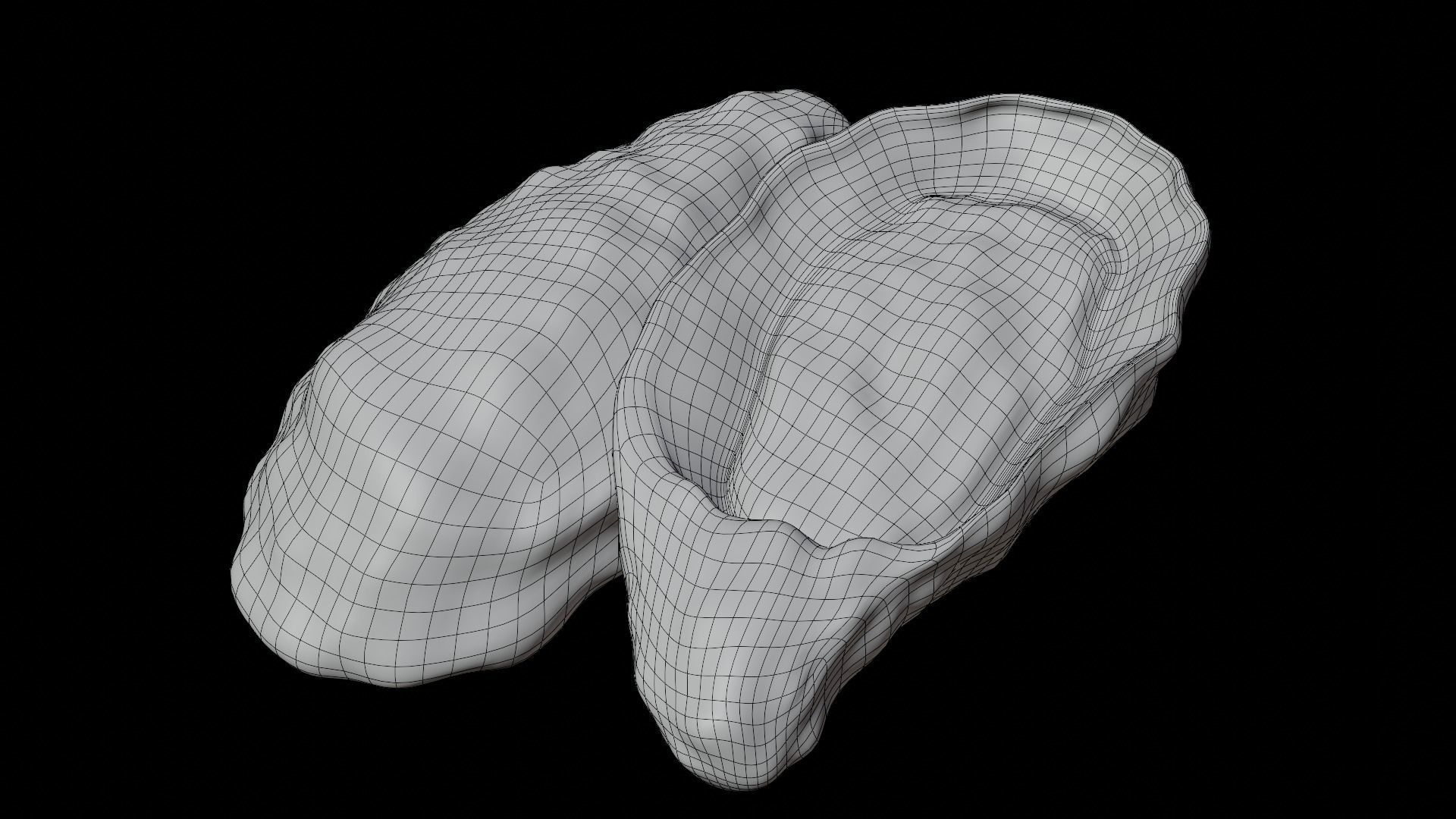 Fresh oyster Low-poly 3D model_16