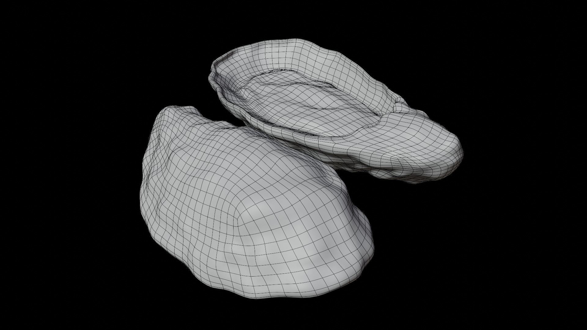 Fresh oyster Low-poly 3D model_17