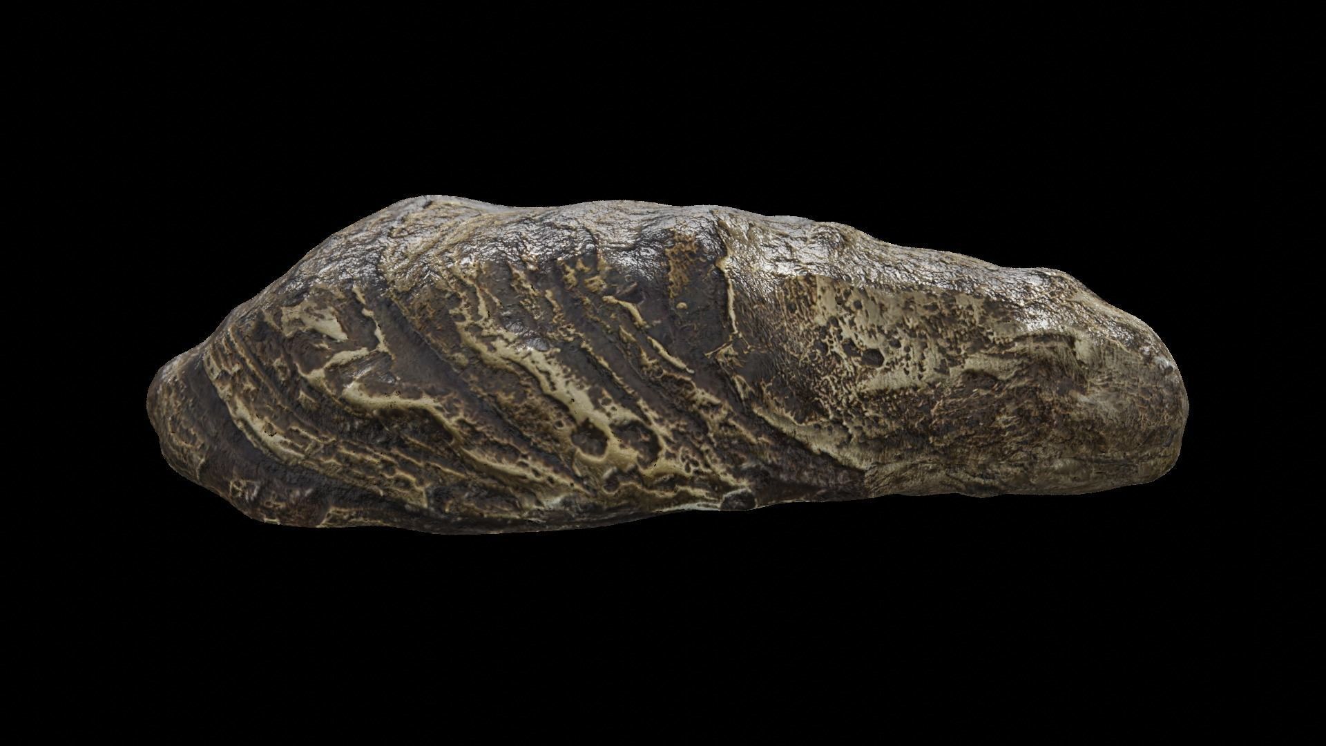 Fresh oyster Low-poly 3D model_27