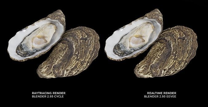 Fresh oyster Low-poly 3D model 3