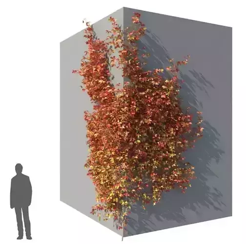 XfrogPlants HDTrees 4  3D model