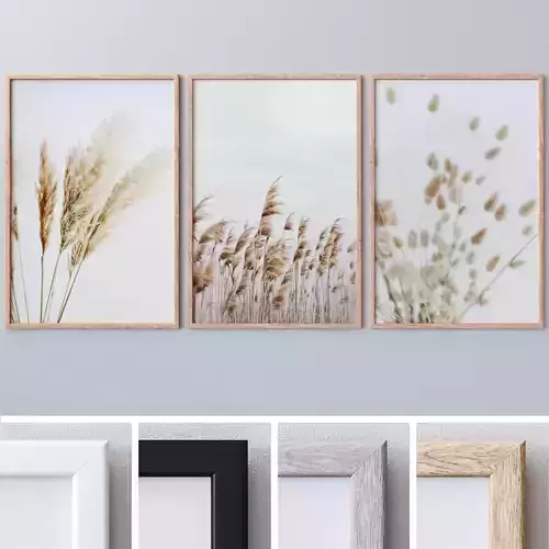 Photo Frames Set  290