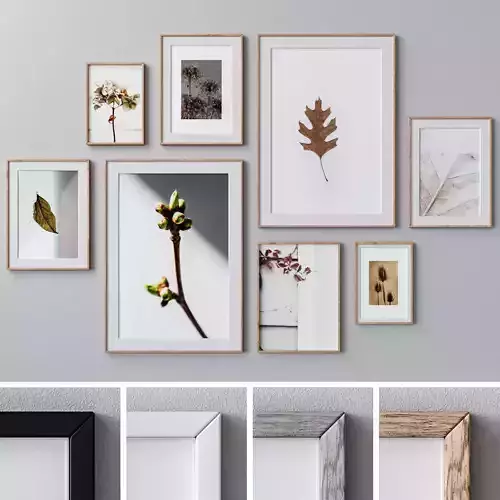 Photo Frames Set  300