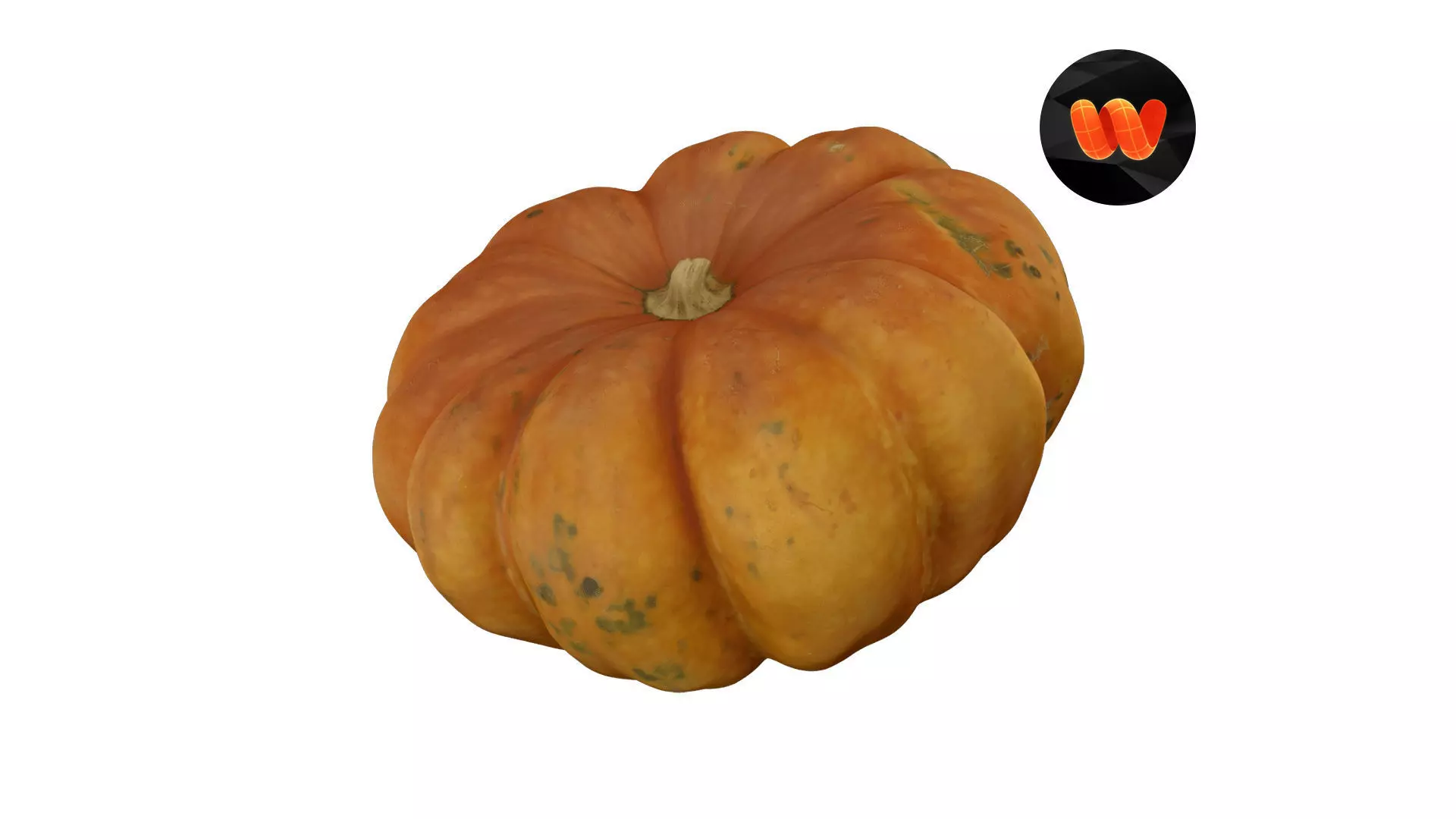 Squash Cucurbita maxima - Extreme Definition Scanned 3D model_0