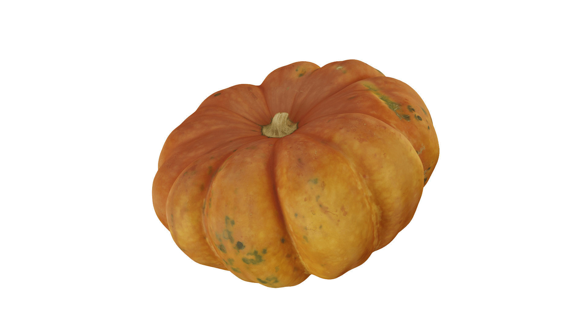 Squash Cucurbita maxima - Extreme Definition Scanned 3D model_3