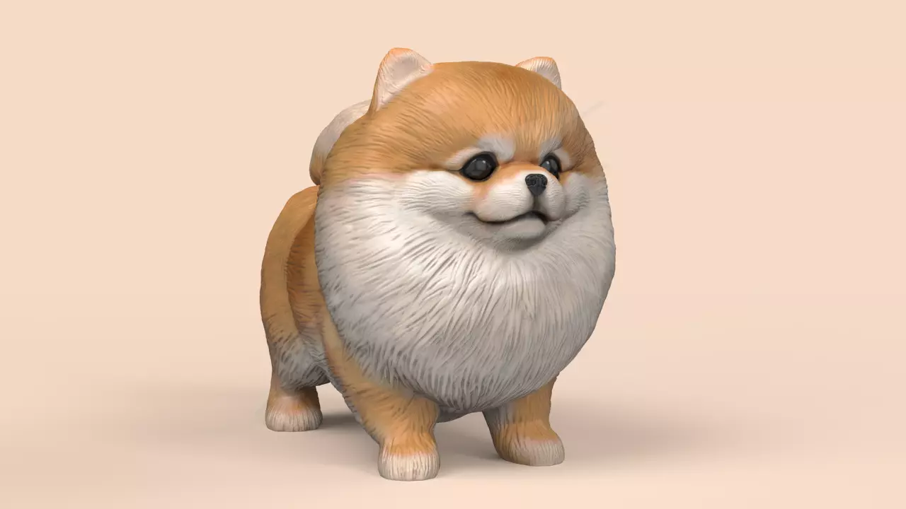 Cute Pomerranian STL and VRML 3D print model_0