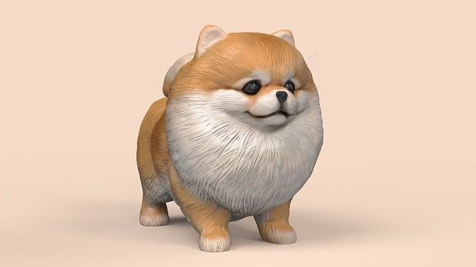 Cute Pomerranian STL and VRML 3D print model