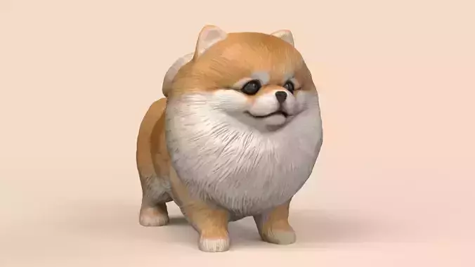 Cute Pomerranian STL and VRML 3D print model