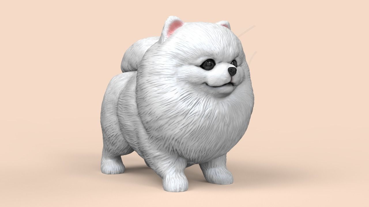 Cute Pomerranian STL and VRML 3D print model_3