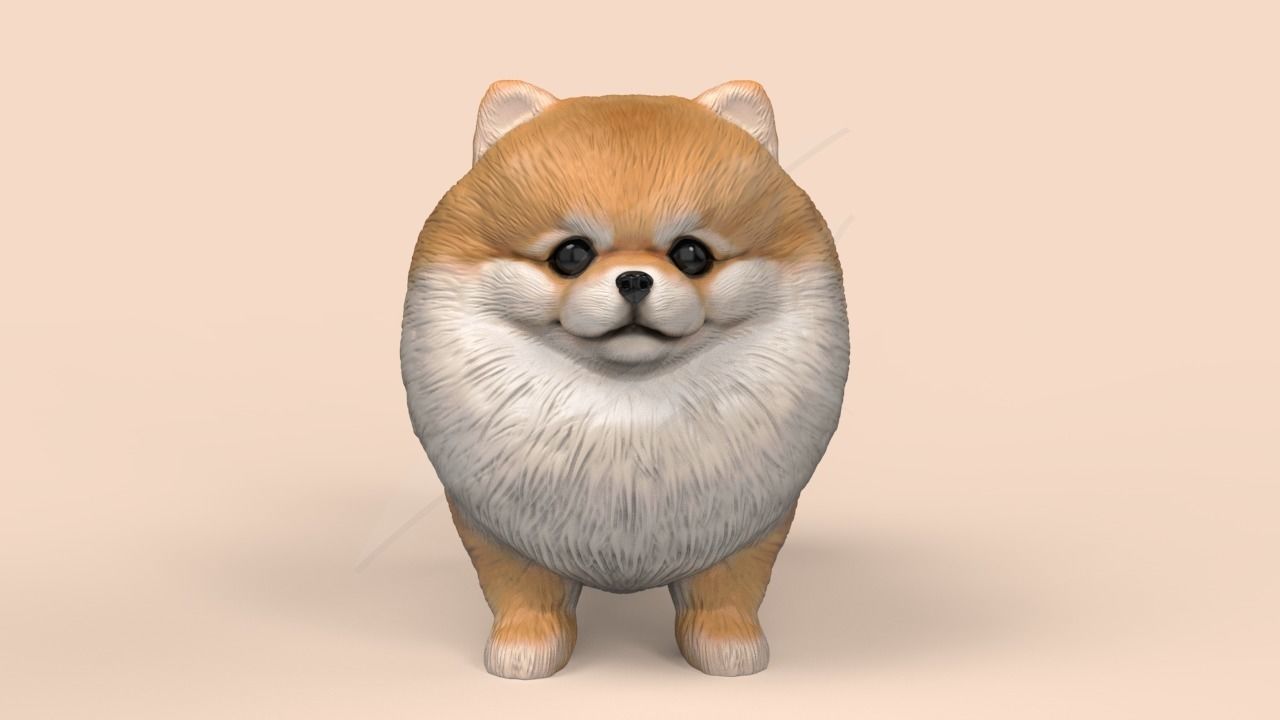 Cute Pomerranian STL and VRML 3D print model_1