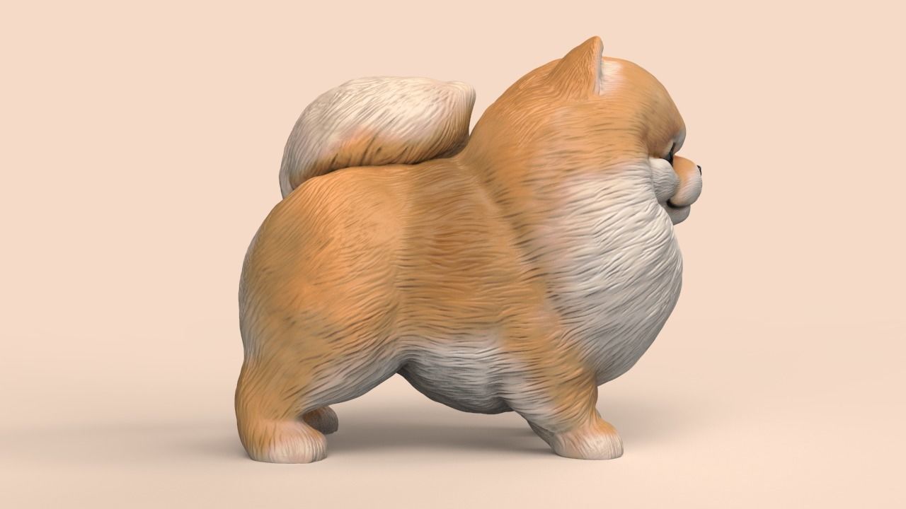 Cute Pomerranian STL and VRML 3D print model_2