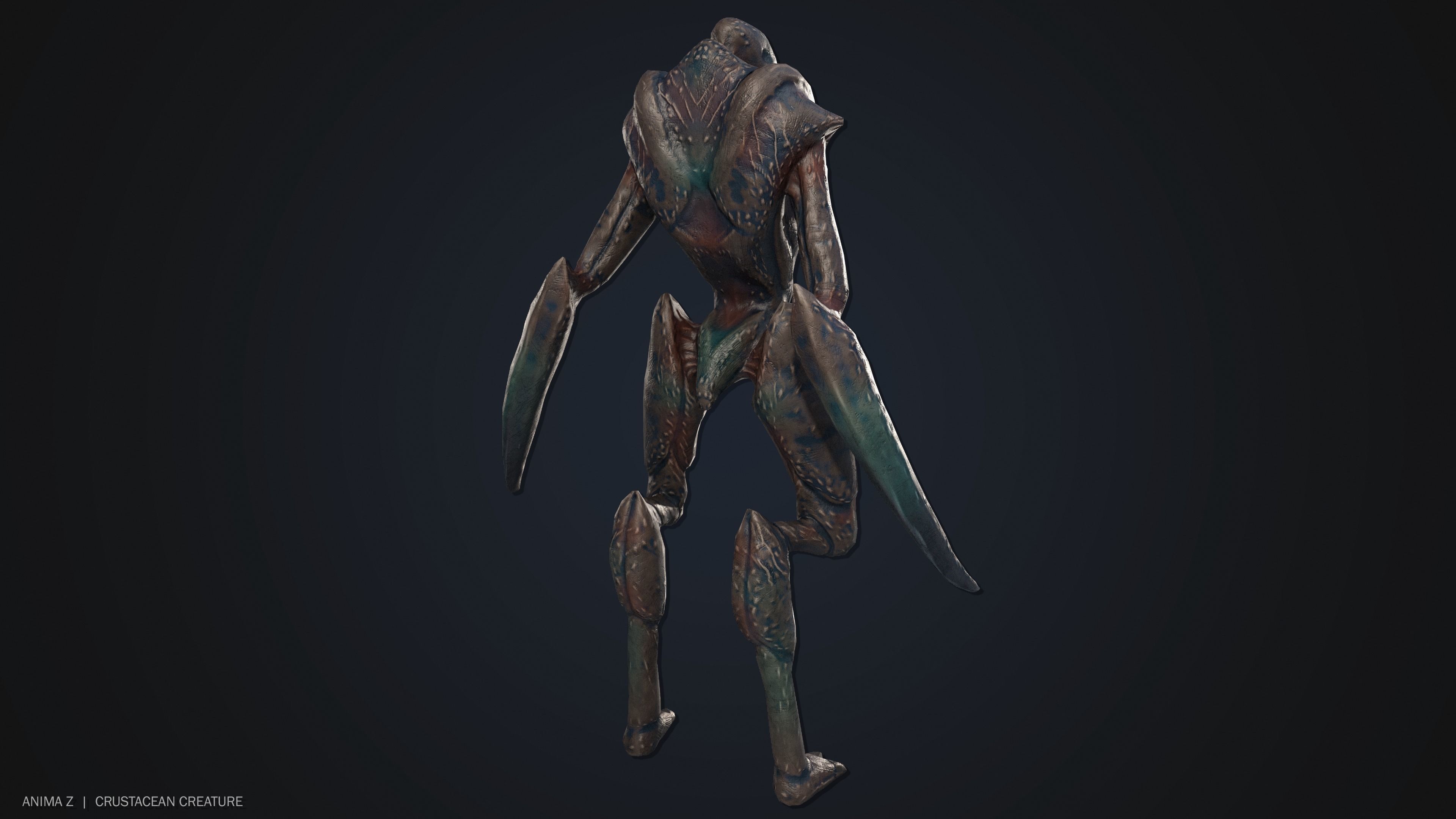 Crustacean creature Low-poly 3D model_9