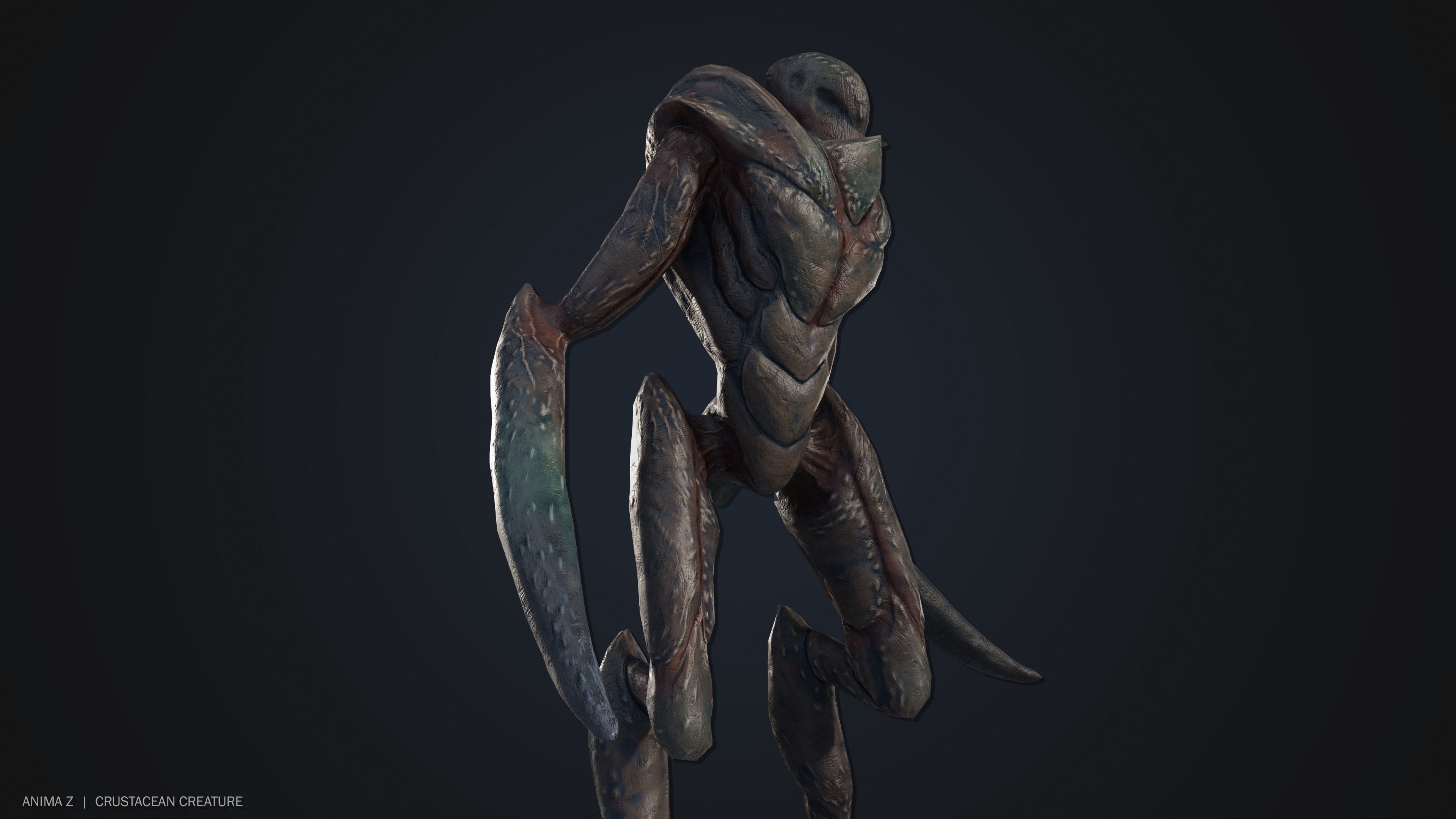 Crustacean creature Low-poly 3D model_6