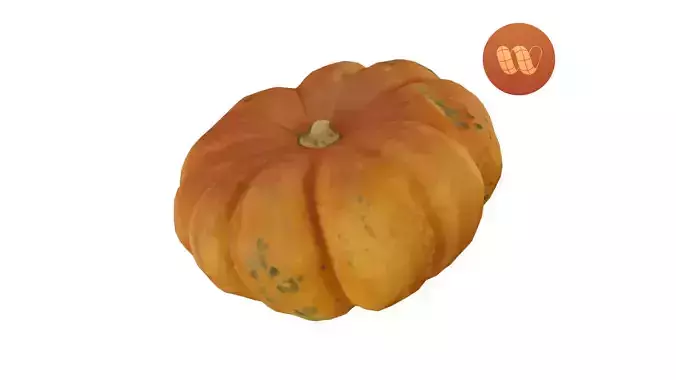 Squash Cucurbita maxima - Real-Time Scanned Low-poly 3D model