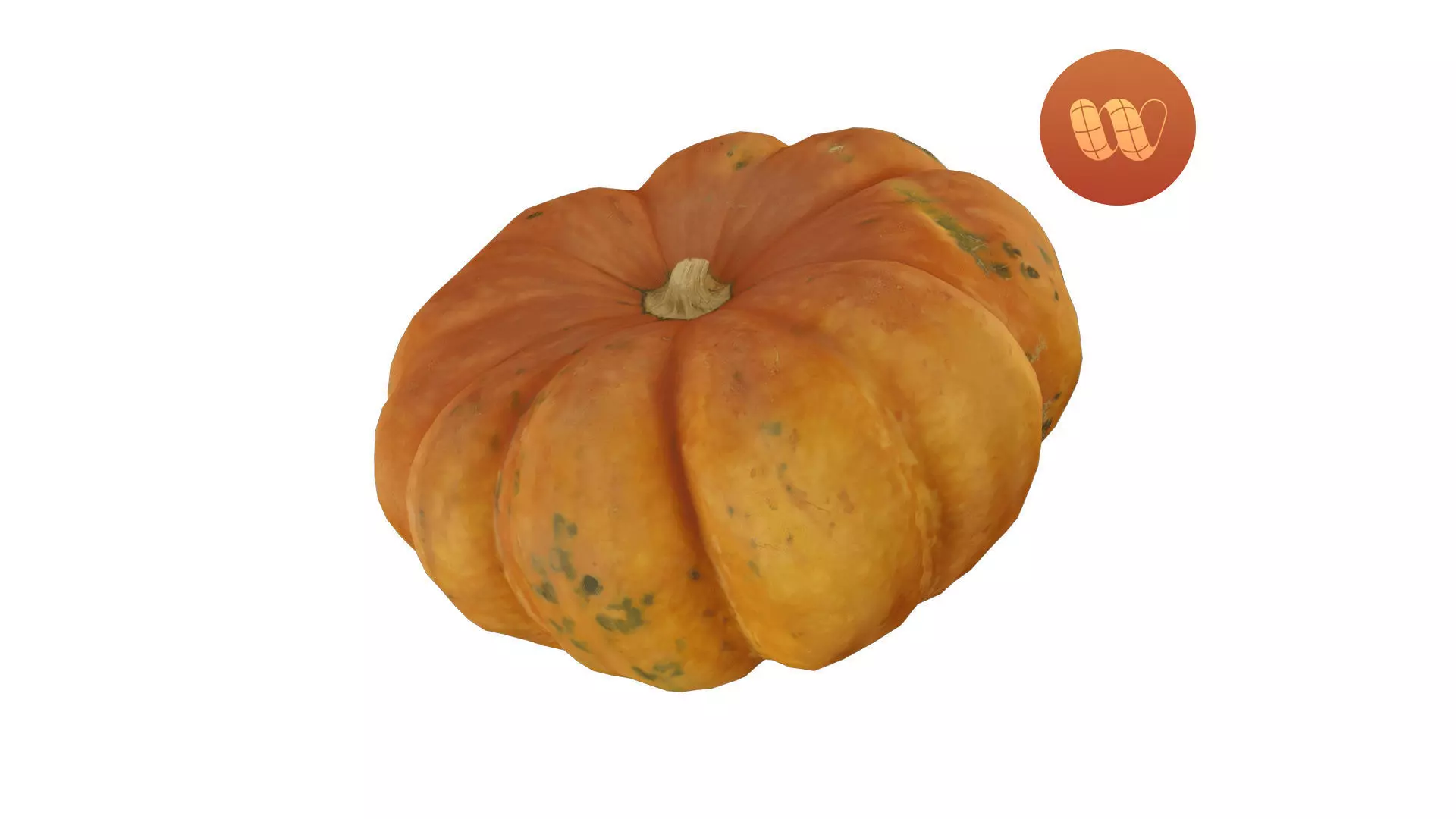 Squash Cucurbita maxima - Real-Time Scanned Low-poly 3D model_0