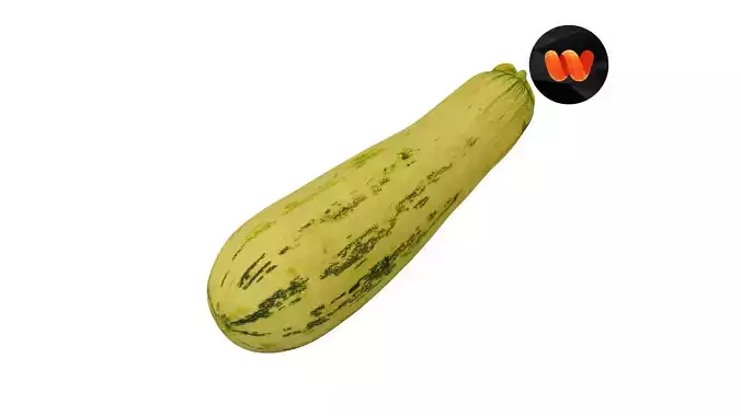 Zucchini Cucurbita pepo - Extreme Definition Scanned 3D model