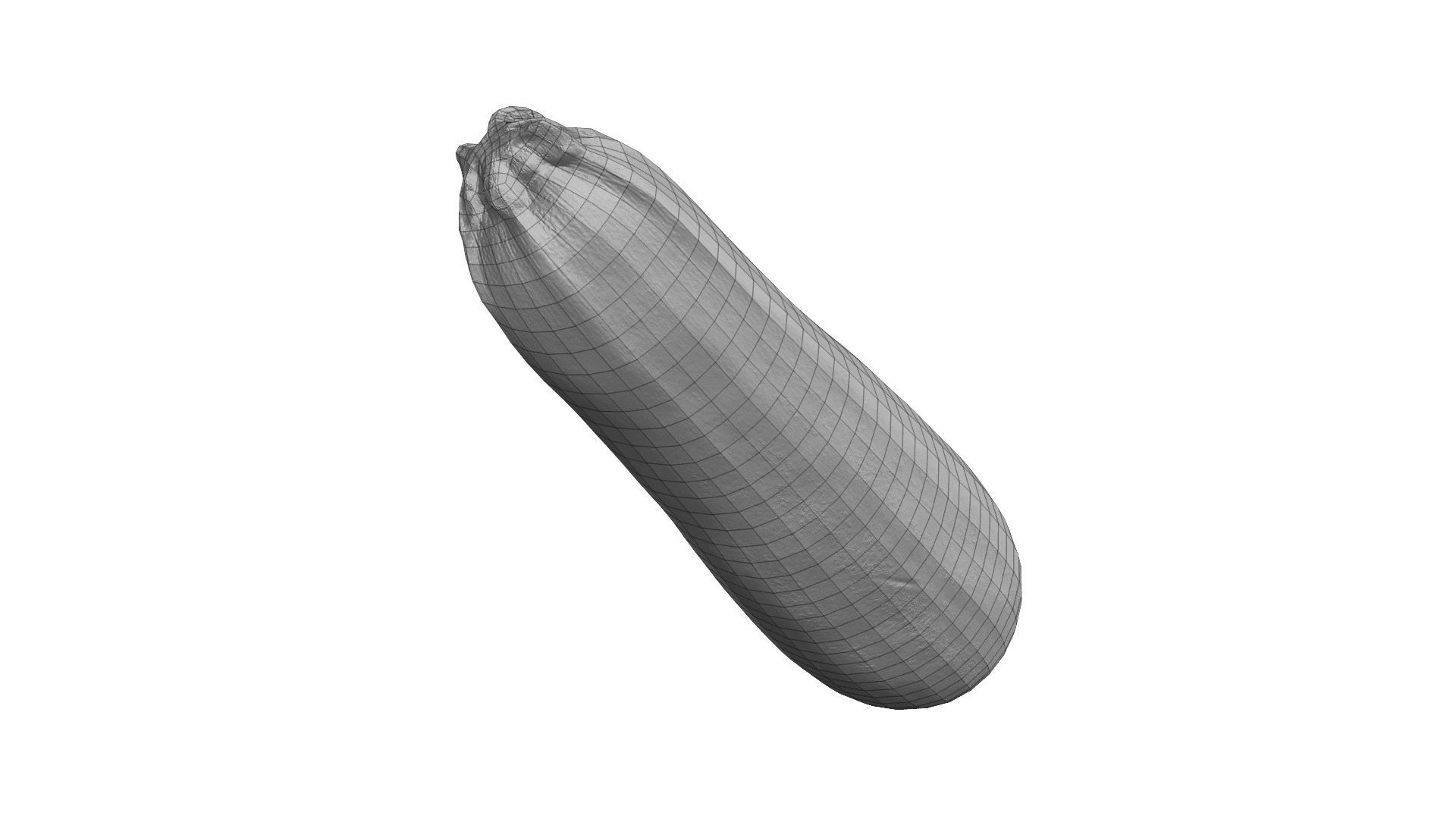 Zucchini Cucurbita pepo - Real-Time Scanned Low-poly 3D model_5