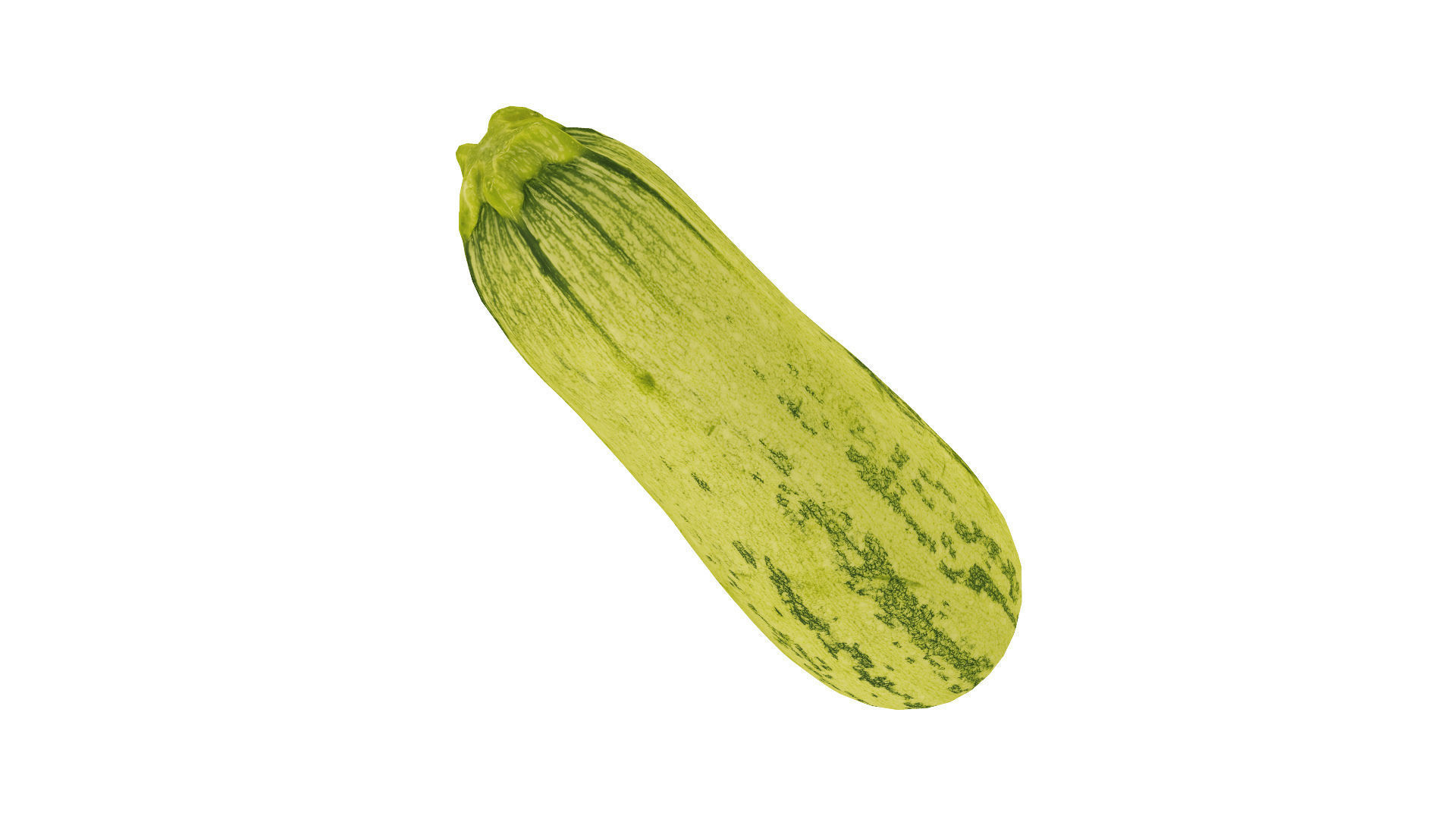 Zucchini Cucurbita pepo - Real-Time Scanned Low-poly 3D model_4