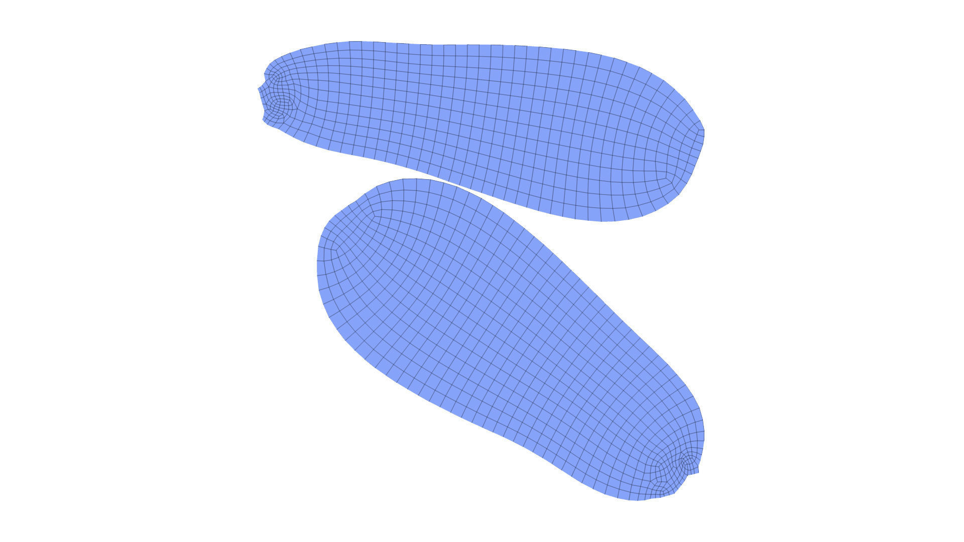 Zucchini Cucurbita pepo - Real-Time Scanned Low-poly 3D model_7