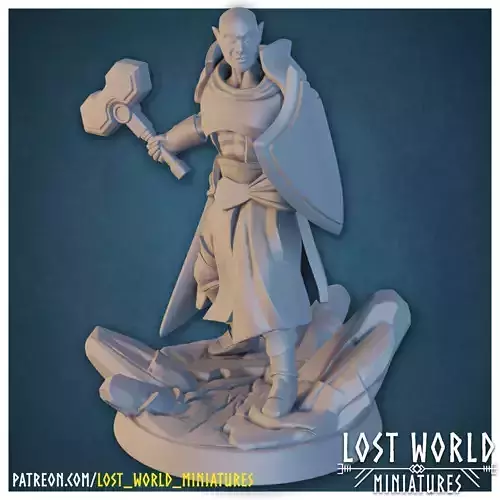 Elementalkin Cleric - Earth - Supported - Miniature 3D print model
