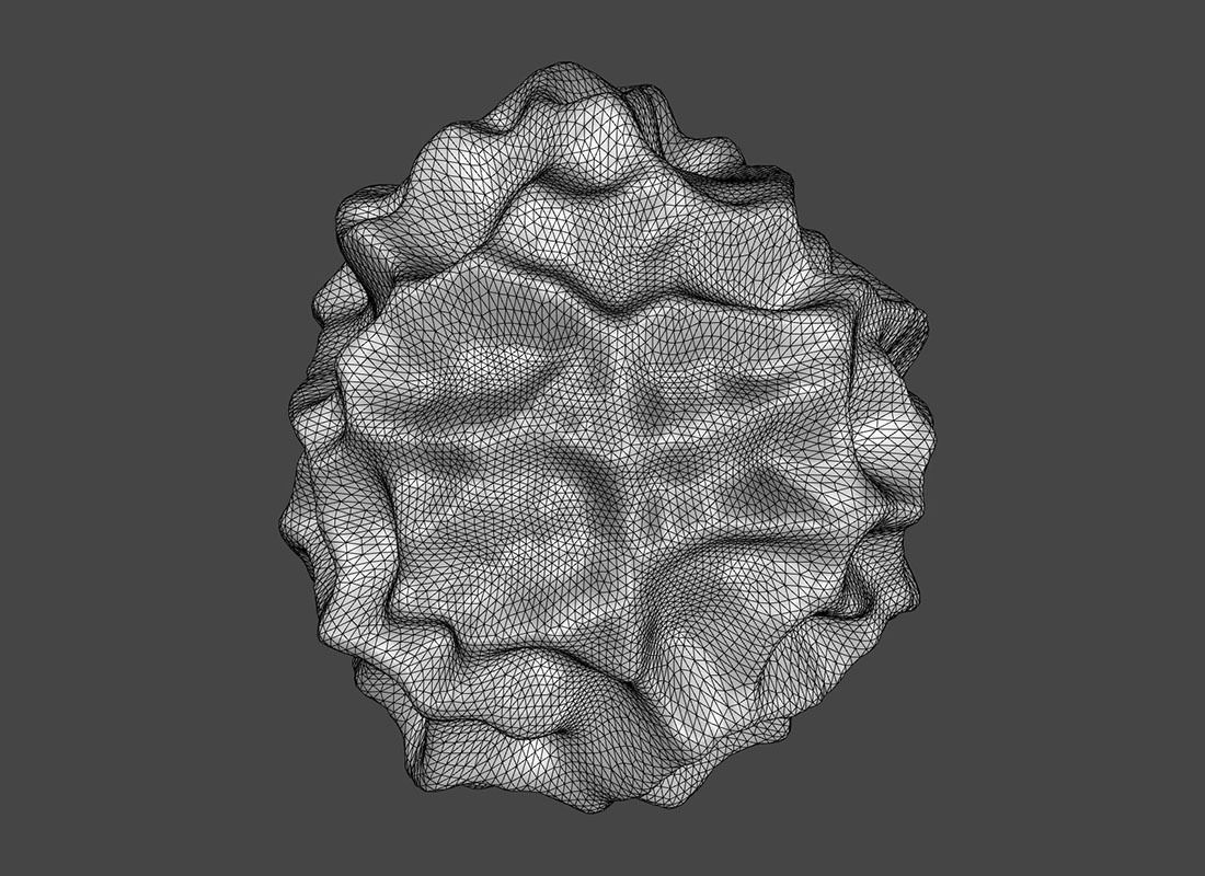 Physarum Striation 3D print model_2