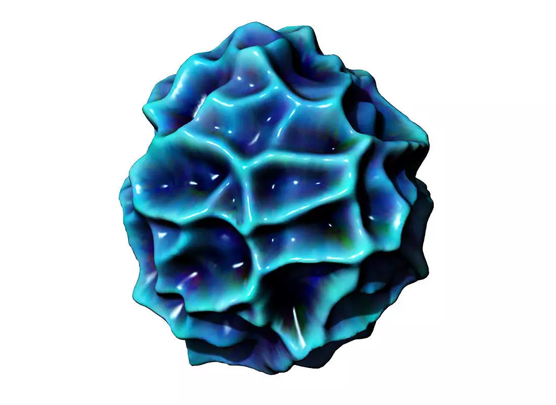 Physarum Striation 3D print model_0