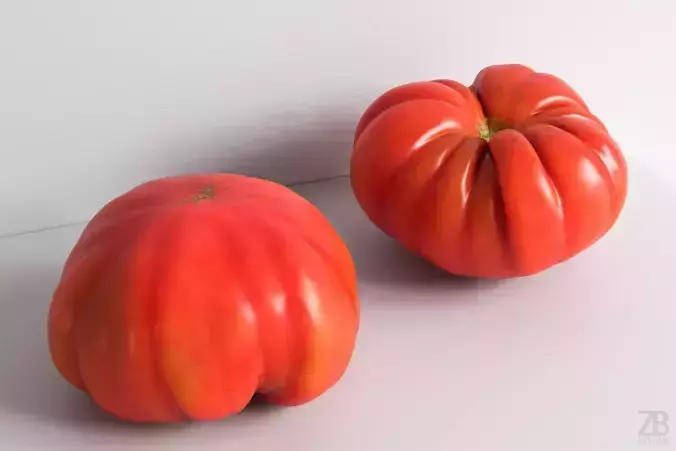 Tomato 3D model