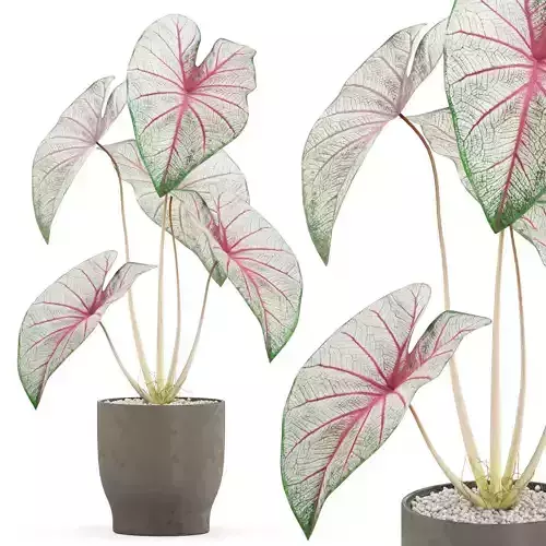 Plants collection 520 3D model