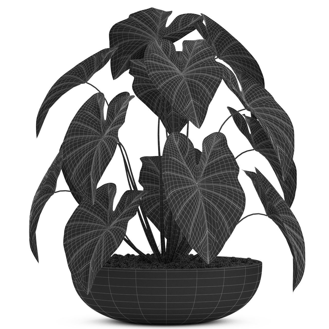 Plants collection 521 3D model_2