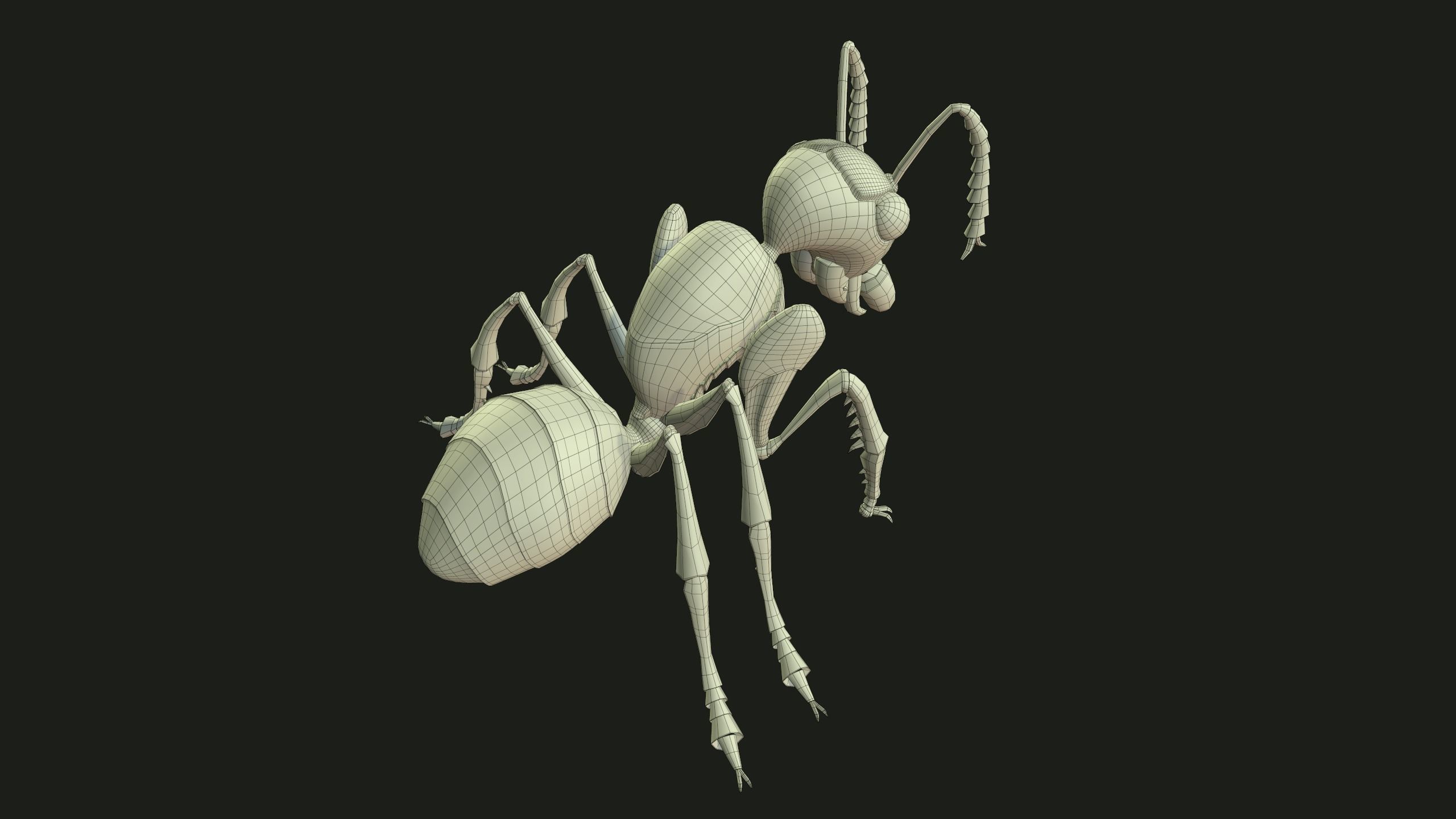 Ant 3dModel insect Low-poly 3D model_9