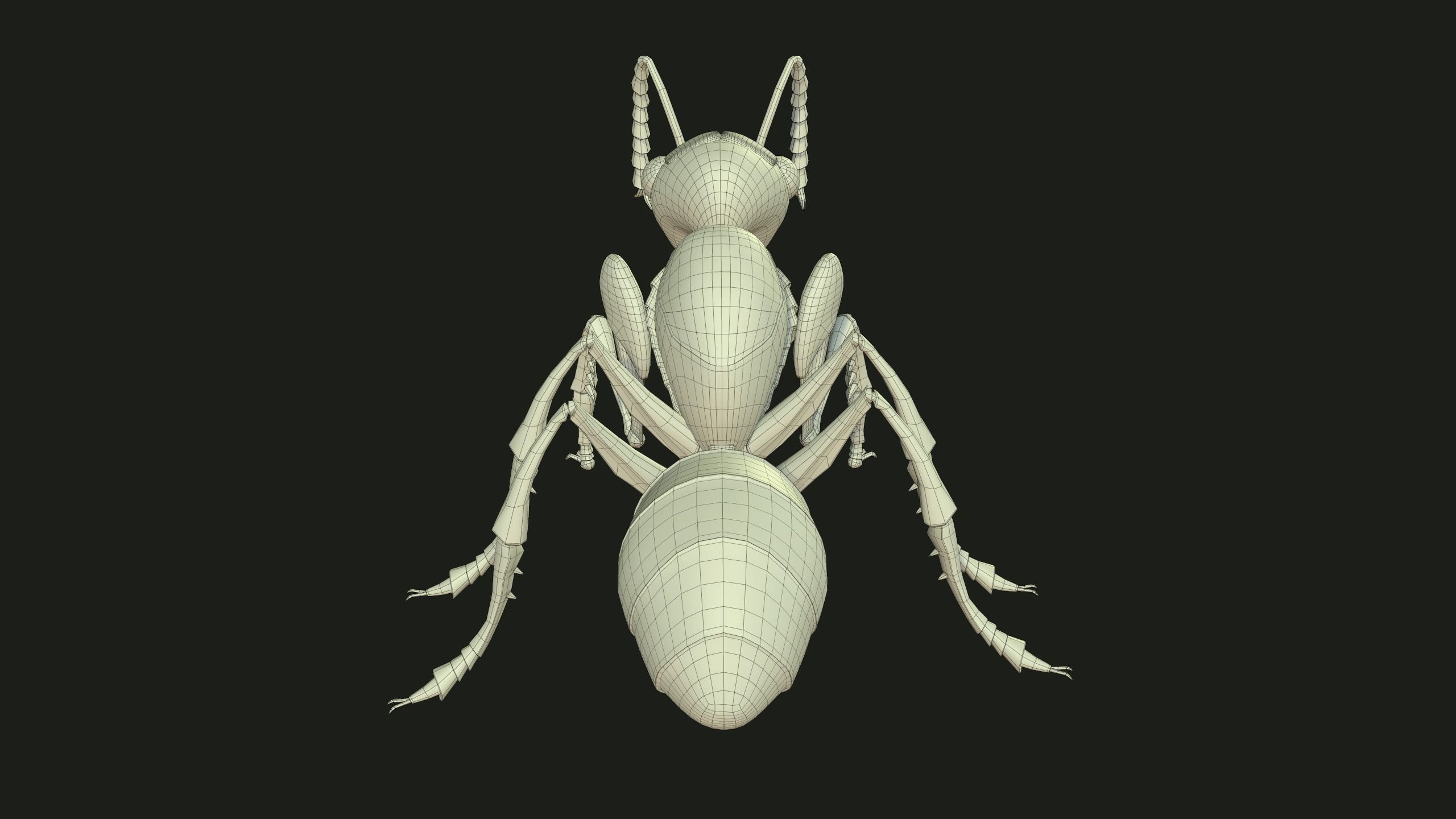 Ant 3dModel insect Low-poly 3D model_13