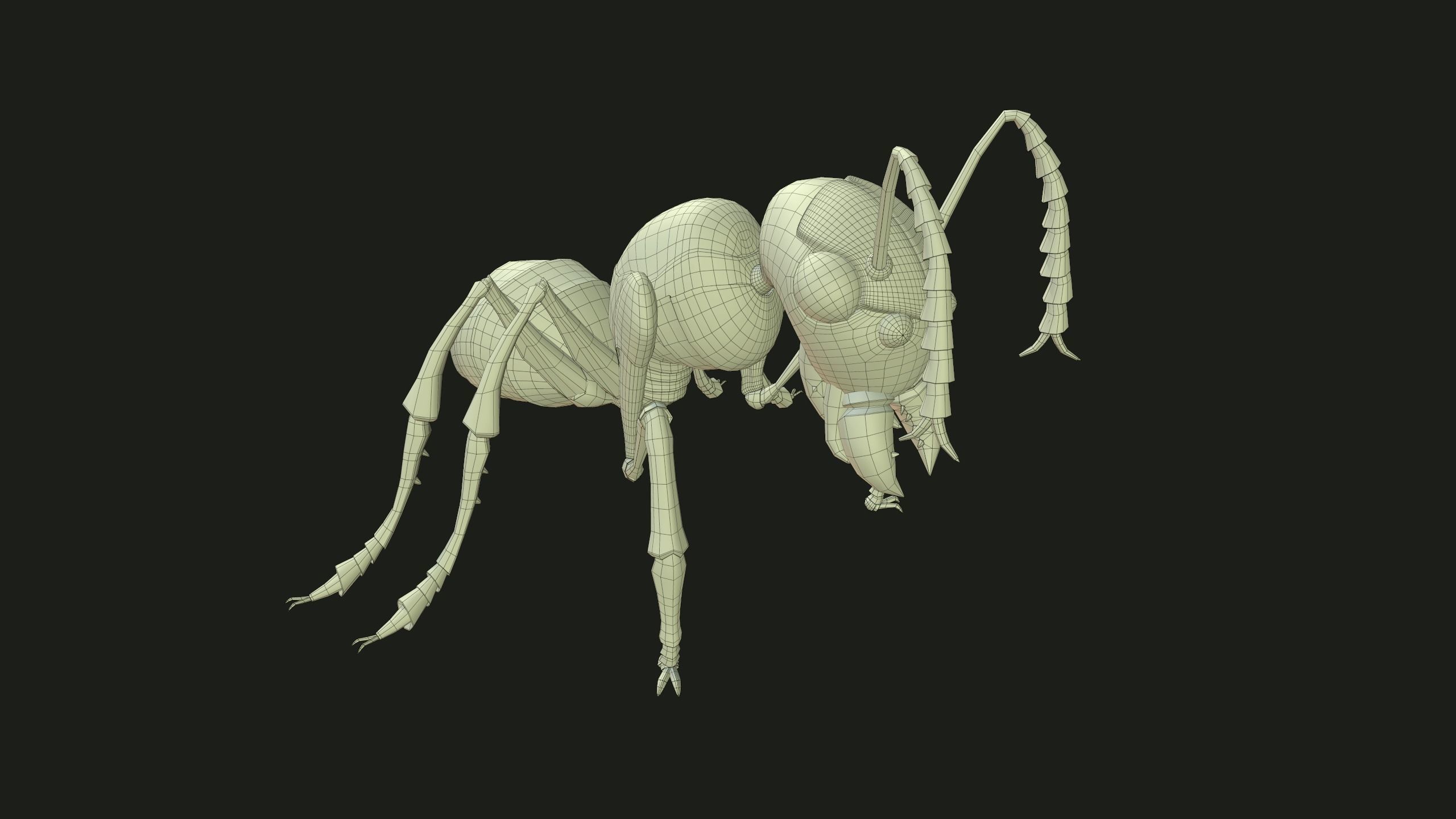 Ant 3dModel insect Low-poly 3D model_12